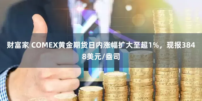 财富家 COMEX黄金期货日内涨幅扩大至超1%，现报3848美元/盎司
