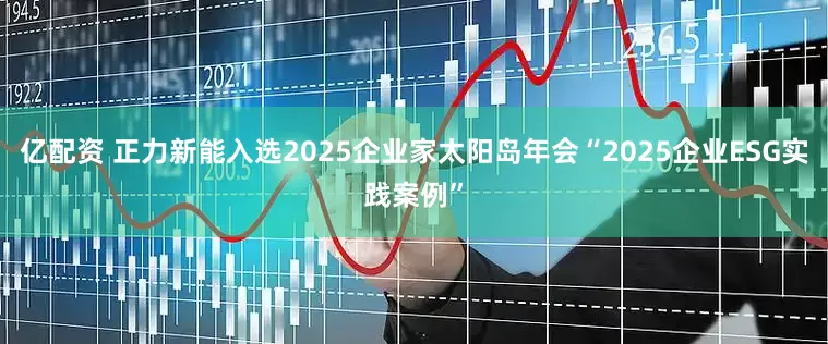 亿配资 正力新能入选2025企业家太阳岛年会“2025企业ESG实践案例”