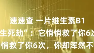速速查 一片维生素B12的“体内生死劫”：它悄悄救了你6次，你却浑然不知